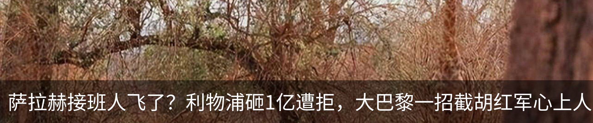 热点资讯